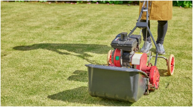 How Much Do Most Lawn Care Companies Charge
