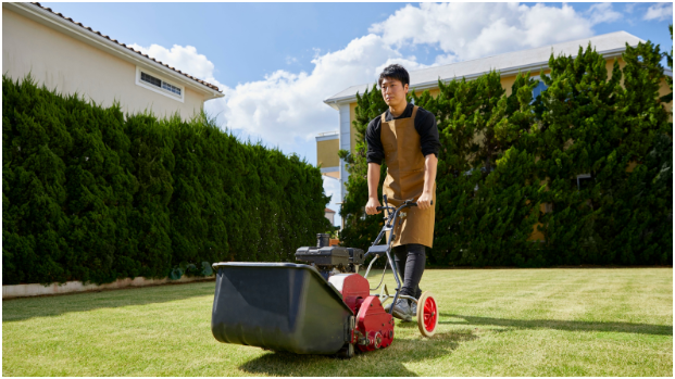 How to Make the Most of How to Start a Lawn Care Business