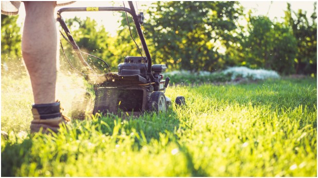 How to Start a Lawn Care Business