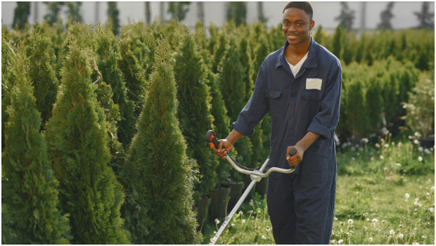 Why Should You Start a Lawn Care Business in 2025