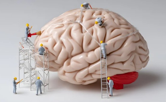 Power of Memorability