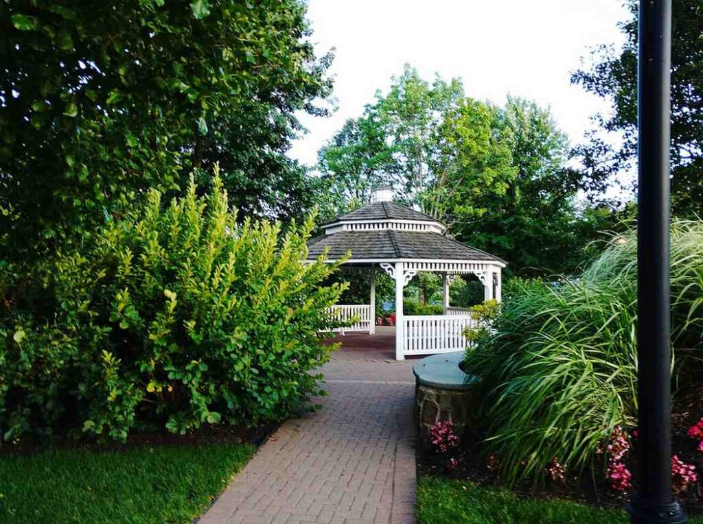 Elevate Your Backyard With Handcrafted Structures