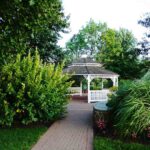 Elevate Your Backyard With Handcrafted Structures