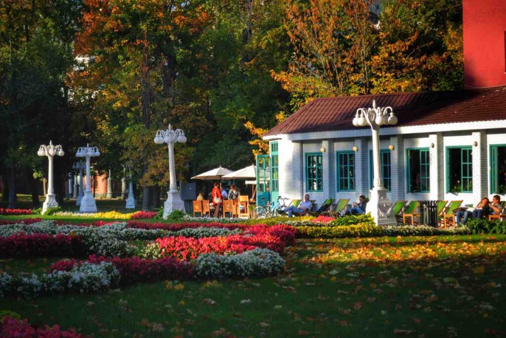 Hiring contractor for backyard transformation