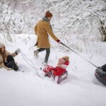 Snowy Escapes Your Guide to Unforgettable Family Winter Fun