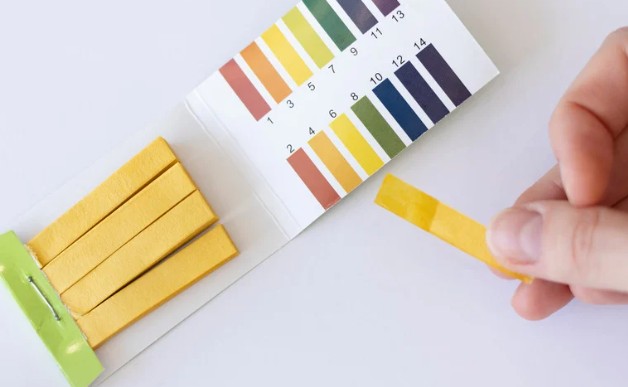 pH vs. Alkalinity: What's in Your Water?