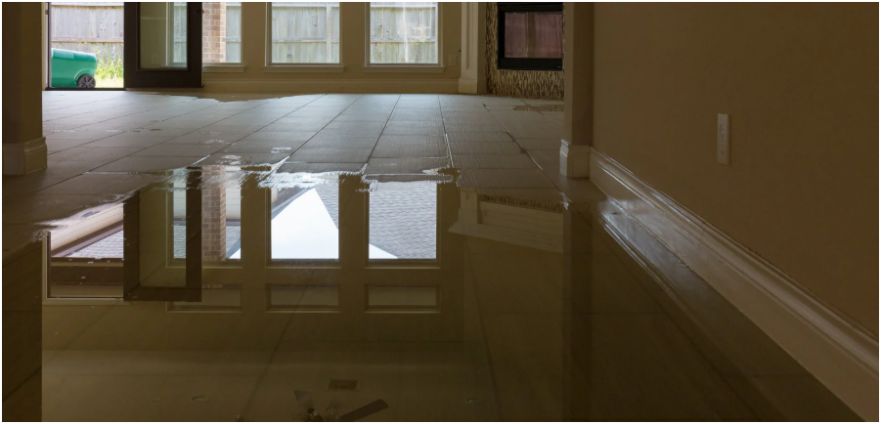 How to Prevent Mold Growth After Flood