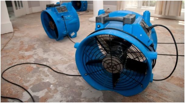 Drying and Ventilation Techniques