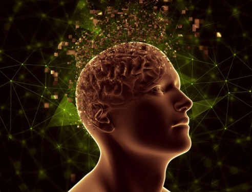 The 70-20-10 Learning Model