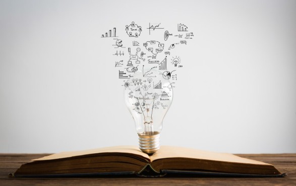 What Lifelong Learning Strategies Really Mean