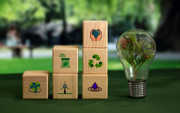 Why Green Business Ideas Are the Future